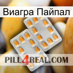 Виагра Пайпал cialis4